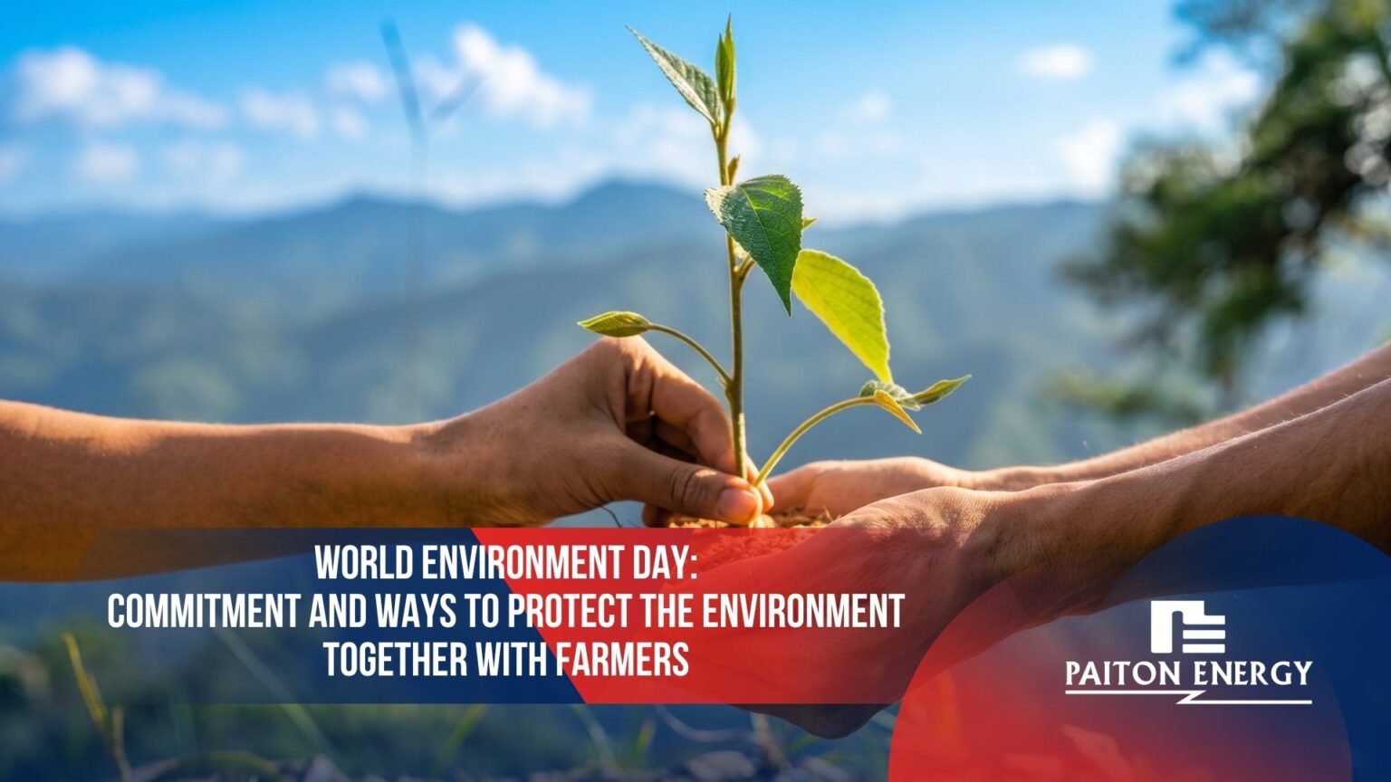 World Environment Day: Commitment and Ways to Protect the Environment ...